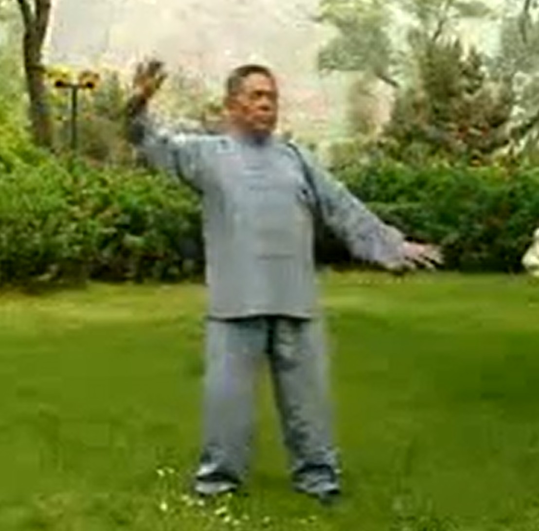 Chansi Jing Gong Fa par Maître Feng Zhiqiang